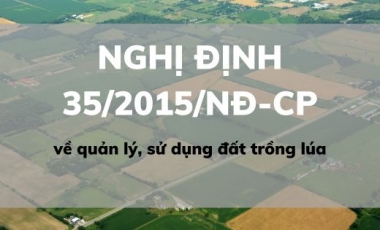 Nghị định 35/2015/NĐ-CP về quản lý, sử dụng đất trồng lúa Hoàng Thịnh Luật