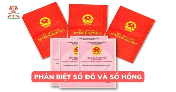 Sổ đỏ và sổ hồng là tên gọi thông dụng; nội dung ghi trên Giấy chứng nhận mới quyết định phạm vi quyền được công nhận.