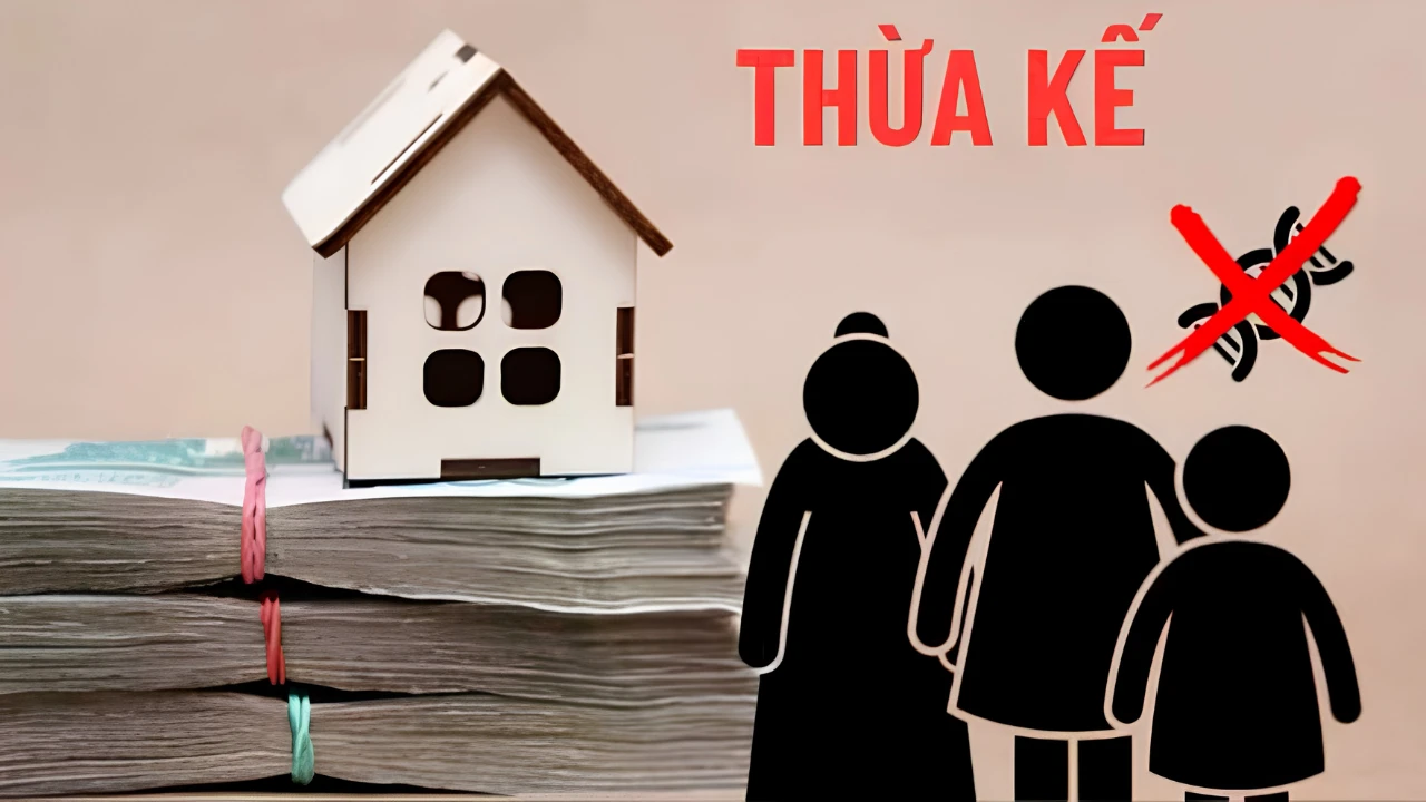 Hồ sơ phải được đánh giá theo thời điểm lập di chúc và từng tình tiết cụ thể.