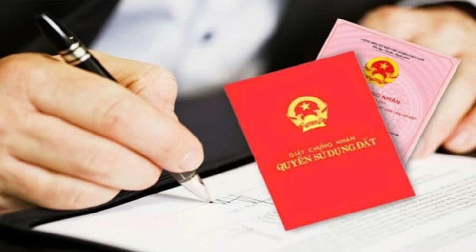Việc xử lý phải dựa trên kiểm tra hồ sơ, thông báo cho người liên quan và quyết định của đúng cơ quan có thẩm quyền.