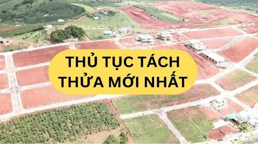 Bản vẽ phải thể hiện chính xác ranh giới, kích thước, diện tích và lối đi của từng thửa dự kiến.