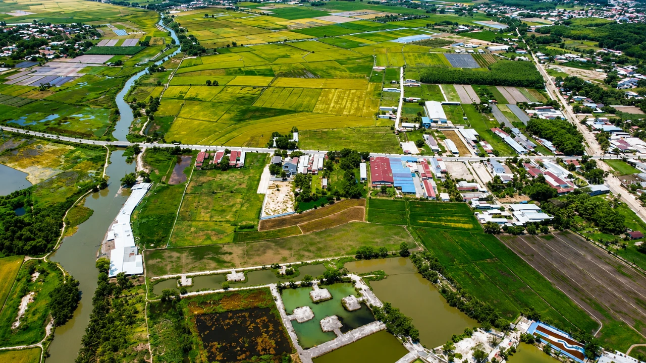 Tình hình tranh chấp đất đai tại TP.HCM